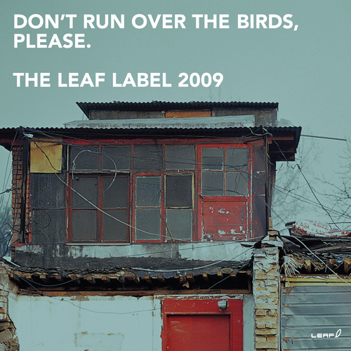 V/A: 'DON'T RUN OVER THE BIRDS, PLEASE.'